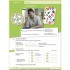 Alltag, Beruf und Co. 1 Kursbuch + Arbeitsbuch mit Audio-CD zum Arbeitsbuch