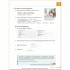 Menschen A1 Berufstrainer mit Audio CD