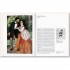 Renoir
