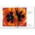 O'Keeffe