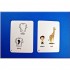 Fun Card English: XXL English My First 600 Words