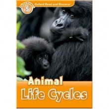 Animal Life Cycles