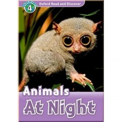 Animals at Night