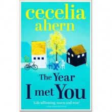 The Year I Met You