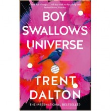 Boy Swallows Universe