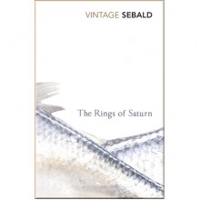 The Rings of Saturn