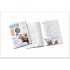 Langlover Workbooks Level A2 Up