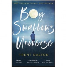 Boy Swallows Universe