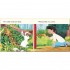 Collins Big Cat Phonics for Letters and Sounds Band 2B Meena and the Rabbit