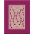 Northanger Abbey