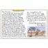 The Curly Pyjama Letters