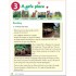 Oxford Primary Skills: Reading and Writing 3