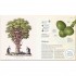The Tree Book