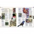 Bird: The Definitive Visual Guide