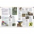 Bird: The Definitive Visual Guide