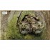 Bird: The Definitive Visual Guide