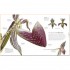 The Science of Plants