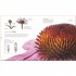 The Science of Plants