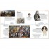 Timelines of World History