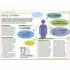 Essential Managers: Achieving High Performance