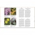 RHS A Plant for Every Day of the Year