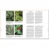 RHS A Plant for Every Day of the Year