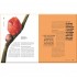 Hortus Curious: Discover the World's Most Weird and Wonderful Plants and Fungi