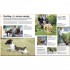 The Beginner's Dog Training Guide