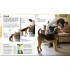 The Beginner's Dog Training Guide