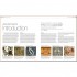 Design: The Definitive Visual Guide