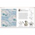 Design: The Definitive Visual Guide