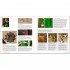 Art in Detail: 100 Masterpieces