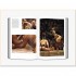 The Monocle Book of Japan