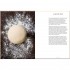 Italian Cooking School: Pizza