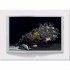 Blooms: Contemporary Floral Design