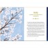 Calming Magic: Enchanted Rituals for Peace, Clarity, and Creativity