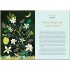 The Practical Witch's Spell Book