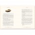 The Great Gatsby (Illustrated Edition)