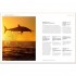 The Bucket List: Wild