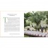 Great Party: Designing the Perfect Celebration