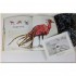 Fantastic Beasts and Where to Find Them Deluxe Illustrated Slipcase Edition