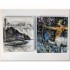 Fantastic Beasts and Where to Find Them Deluxe Illustrated Slipcase Edition