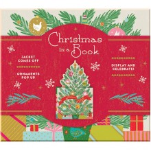 Christmas in a Book