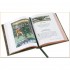 The Merry Adventures of Robin Hood