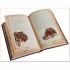 The Illustrated Adventures of Sherlock Holmes