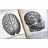 Gray's Anatomy