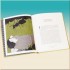 Chronicle Illustrated Tales