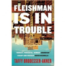 Fleishman is in Trouble