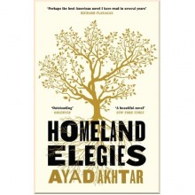Homeland Elegies