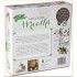 Create Your Own Greenery Wreaths Kit